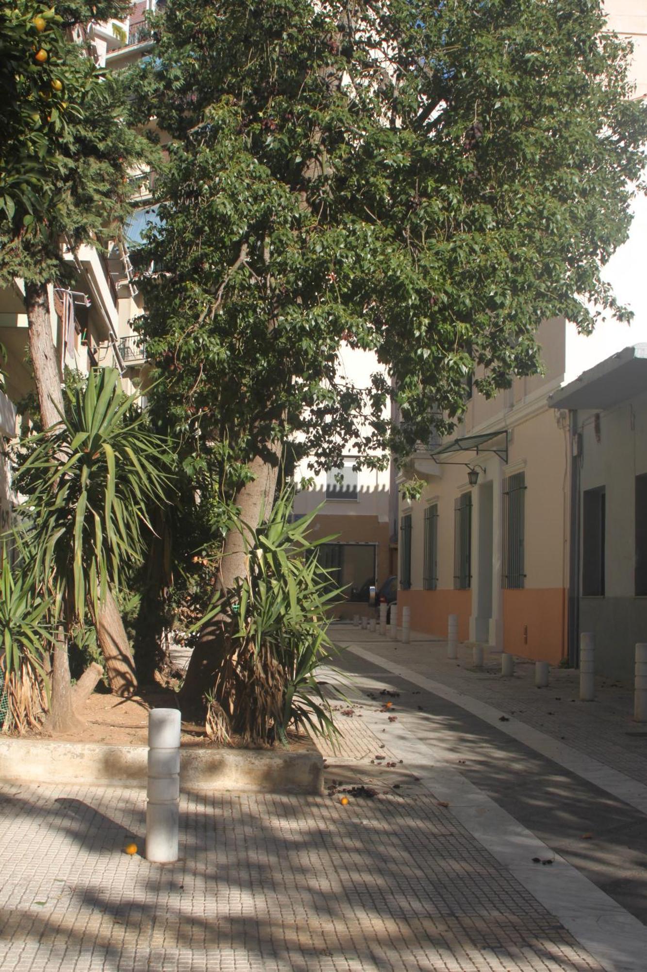 "Under The Olive Tree"- Beautiful Apartment In The Heart Of Athens Luaran gambar