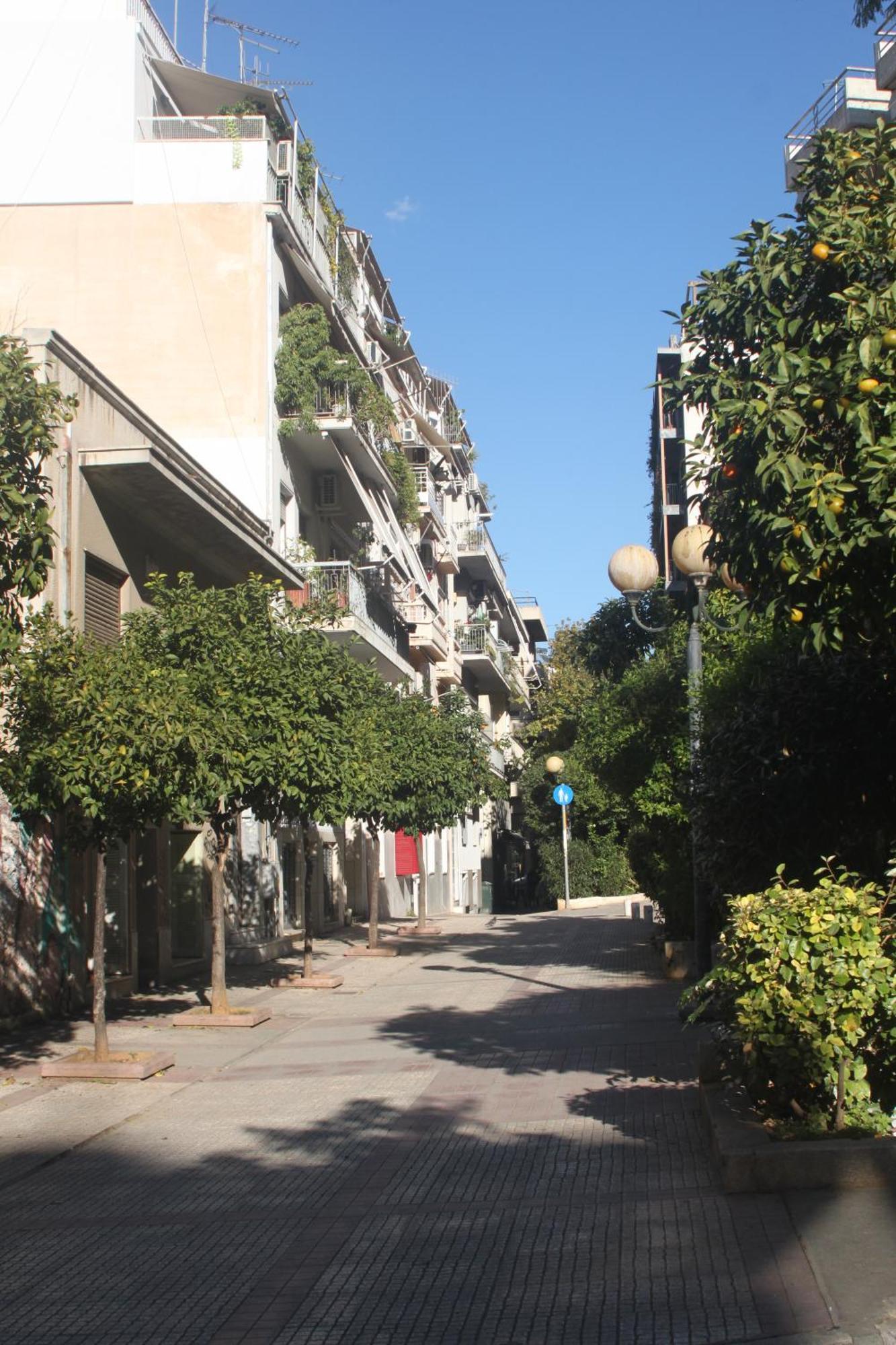 "Under The Olive Tree"- Beautiful Apartment In The Heart Of Athens Luaran gambar