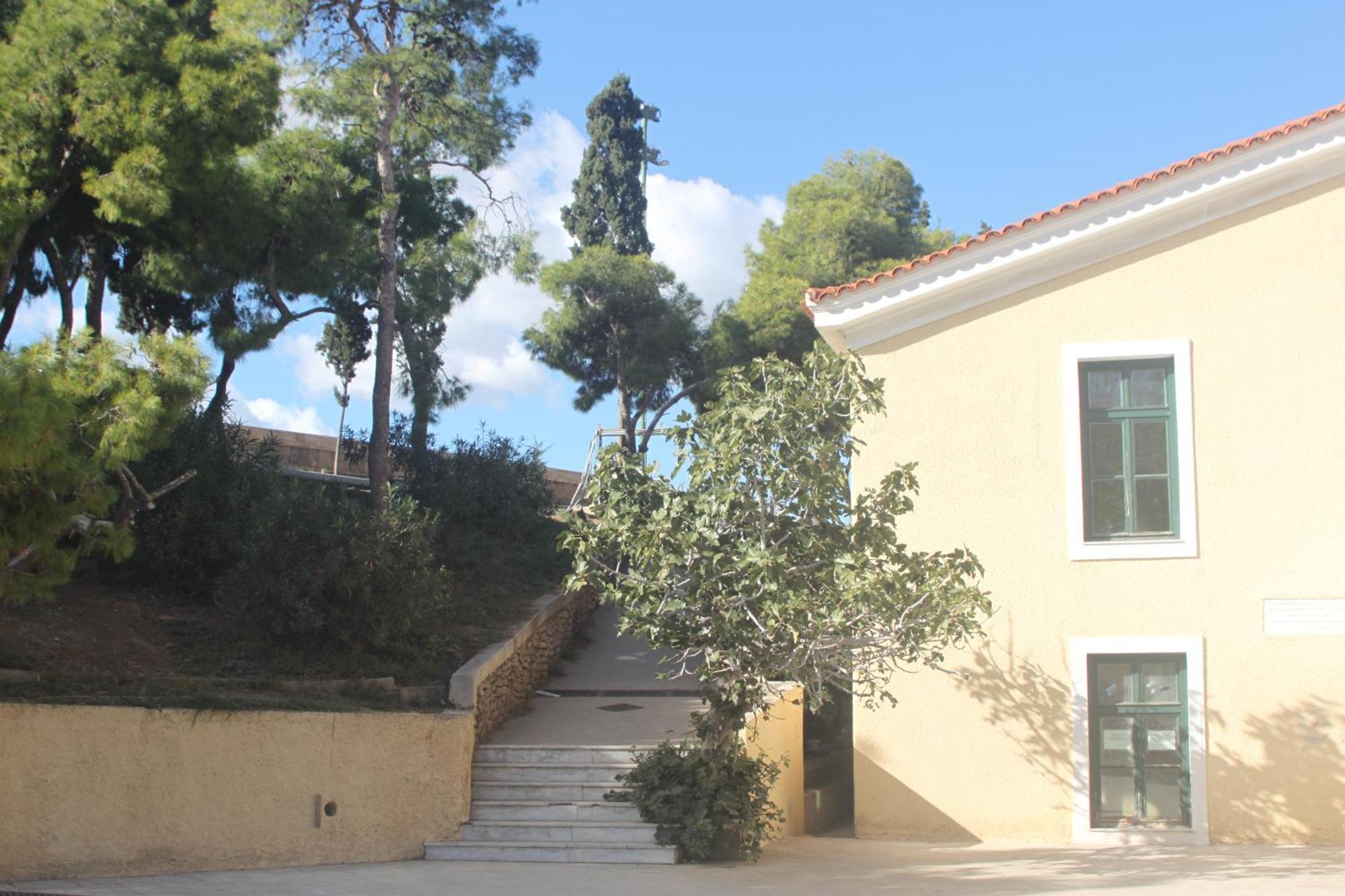 "Under The Olive Tree"- Beautiful Apartment In The Heart Of Athens Luaran gambar