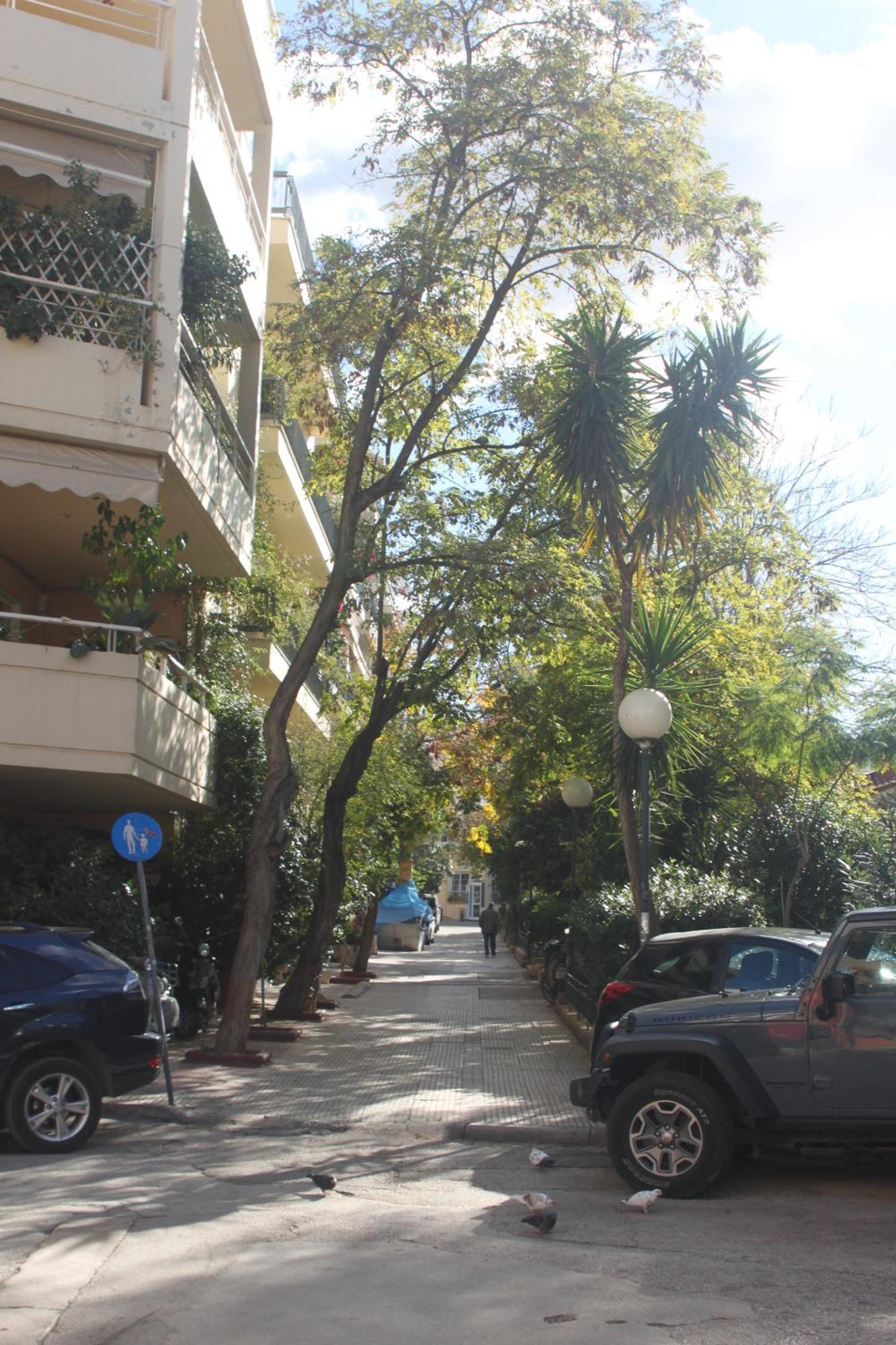 "Under The Olive Tree"- Beautiful Apartment In The Heart Of Athens Luaran gambar